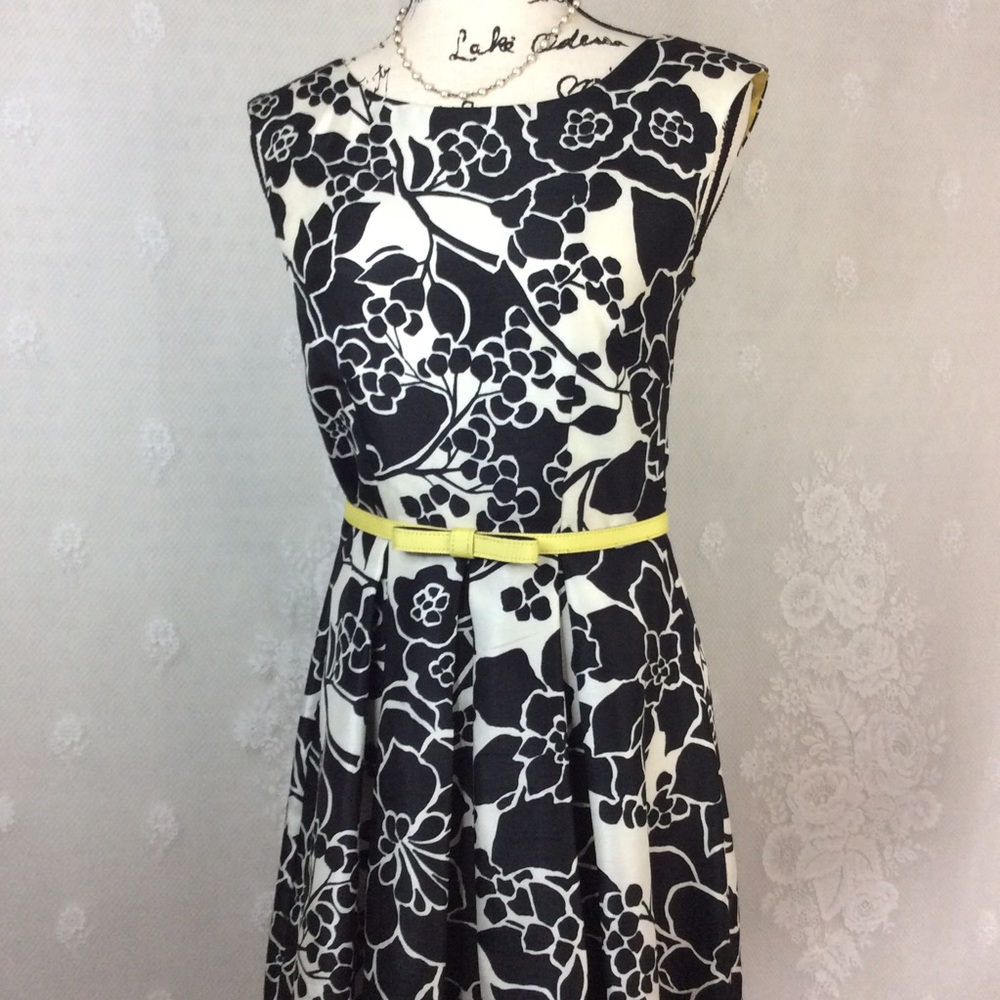 The Limited Black White Floral Classic Belt Dress
